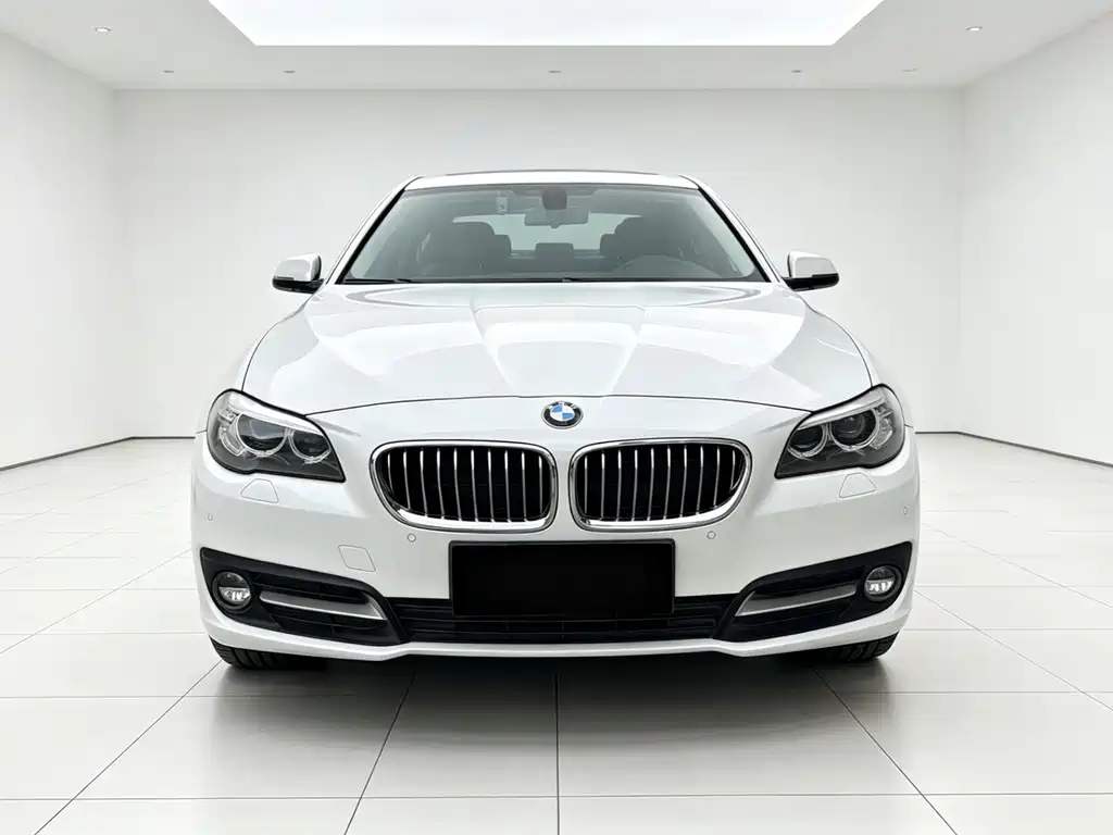 BMW 5 Series 2016 — фото 2