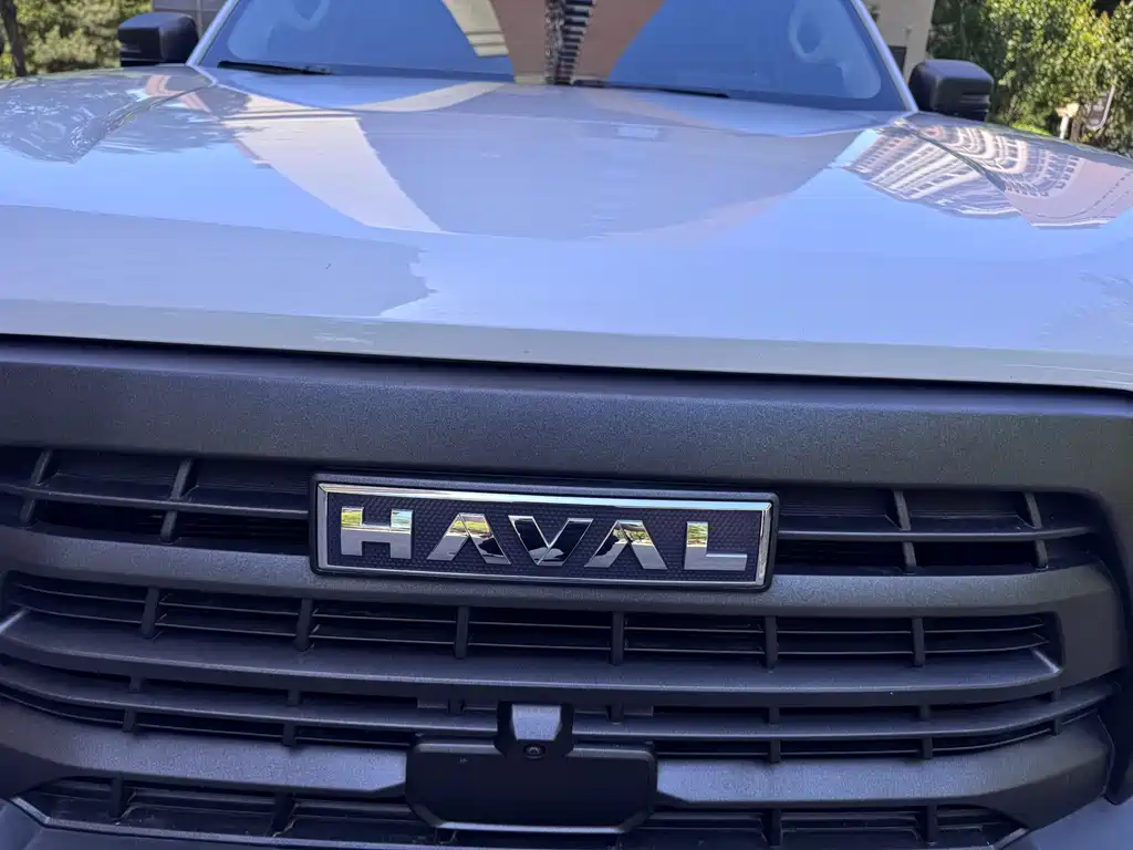 Haval Big Dog 2025 — фото 27