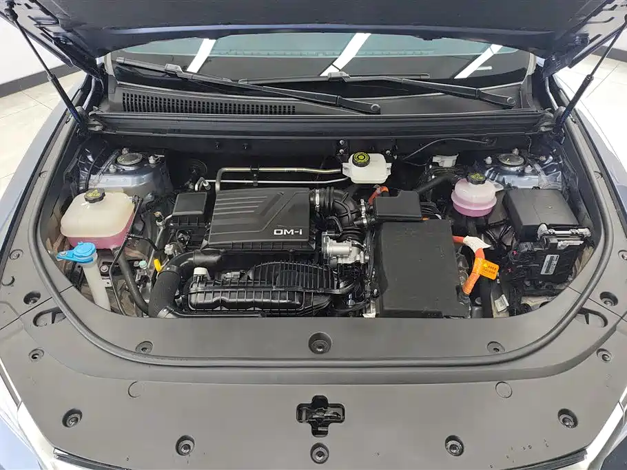 BYD Pro New Energy 2023 — фото 10