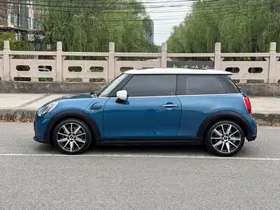MINI MINI 2022