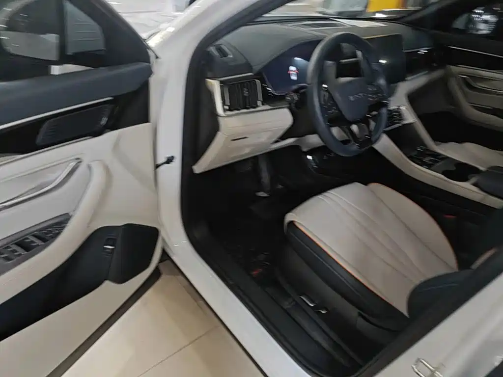 BYD PLUS New Energy 2024 — фото 16