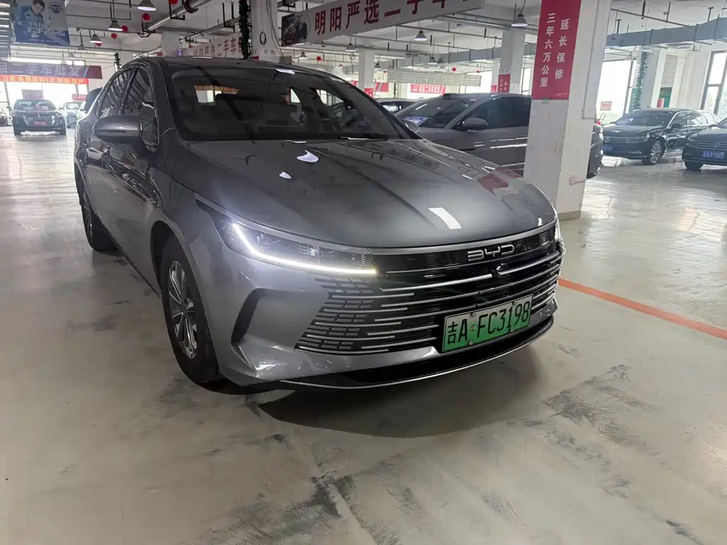 BYD Destroyer 05 2024 — фото 2