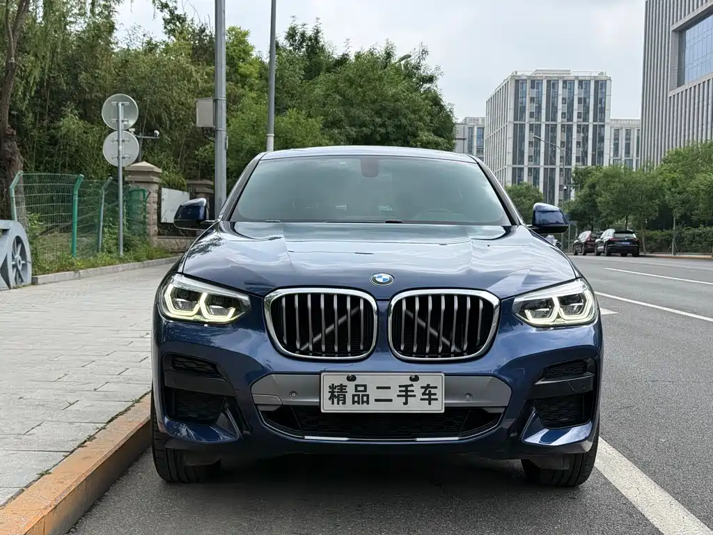 BMW X4 2020 — фото 2