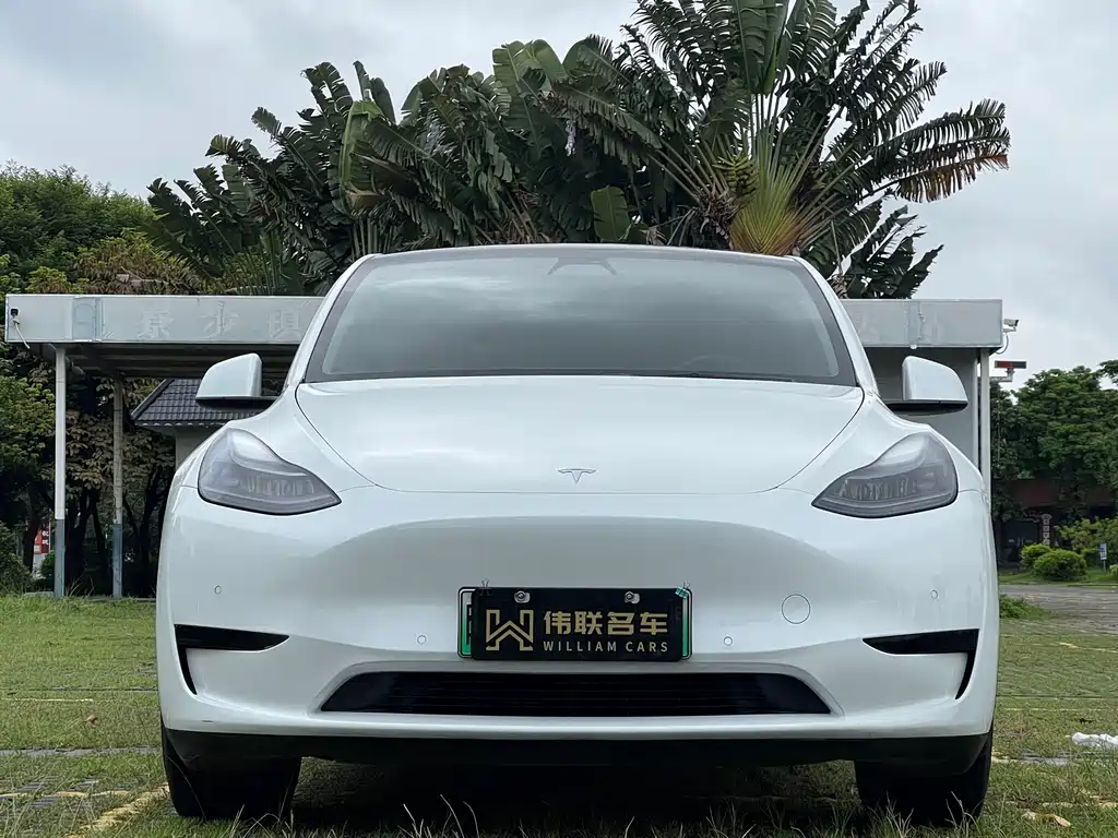 Tesla Model Y 2023 — фото 2