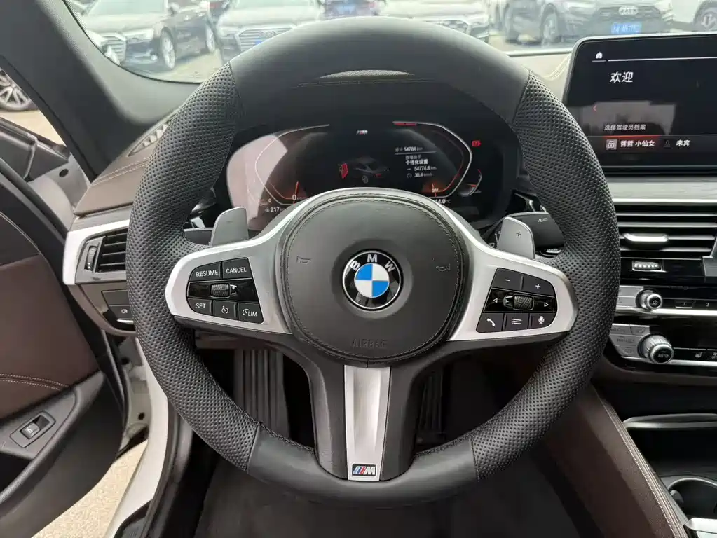 BMW 5 Series 2021