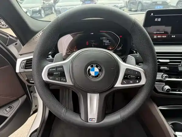 BMW 5 Series 2021