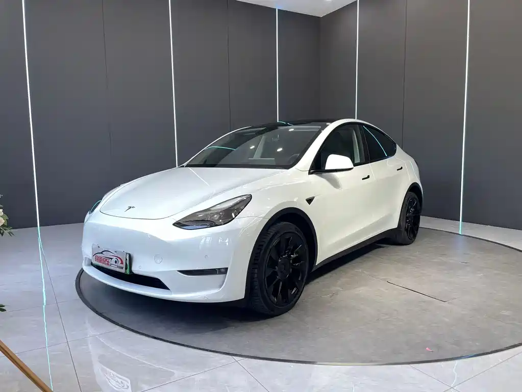 Tesla Model Y 2021 — фото 1