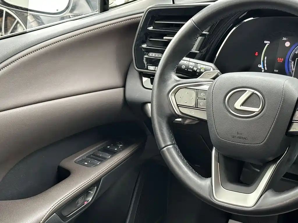 Lexus RX New Energy 2024 — фото 14