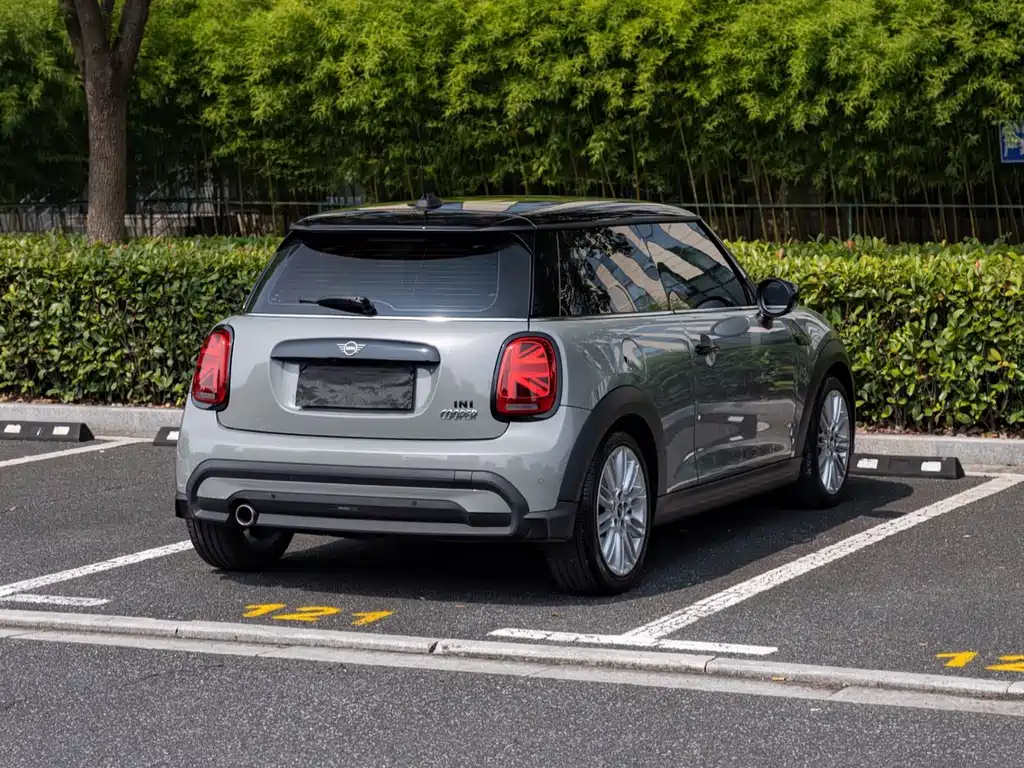 MINI MINI 2022