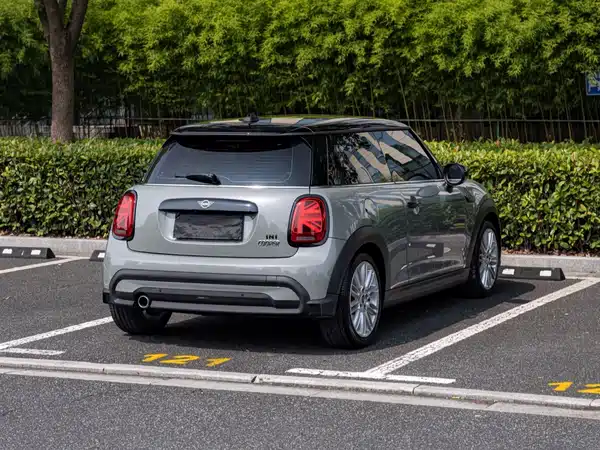 MINI MINI 2022