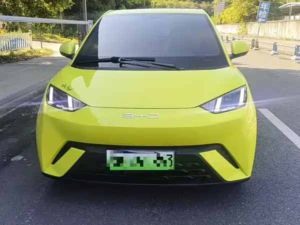 BYD Seagull 2024