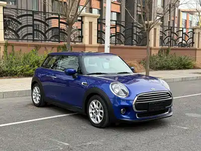 MINI MINI 2020