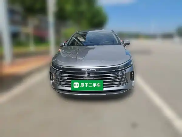 BYD Destroyer 05 2024