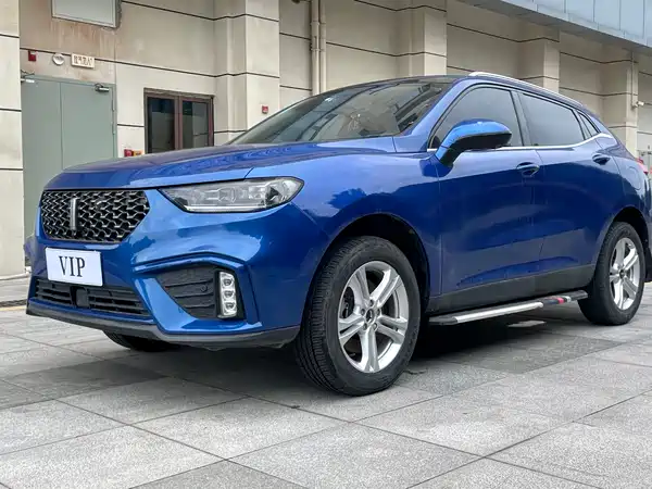 Wey VV5 2020