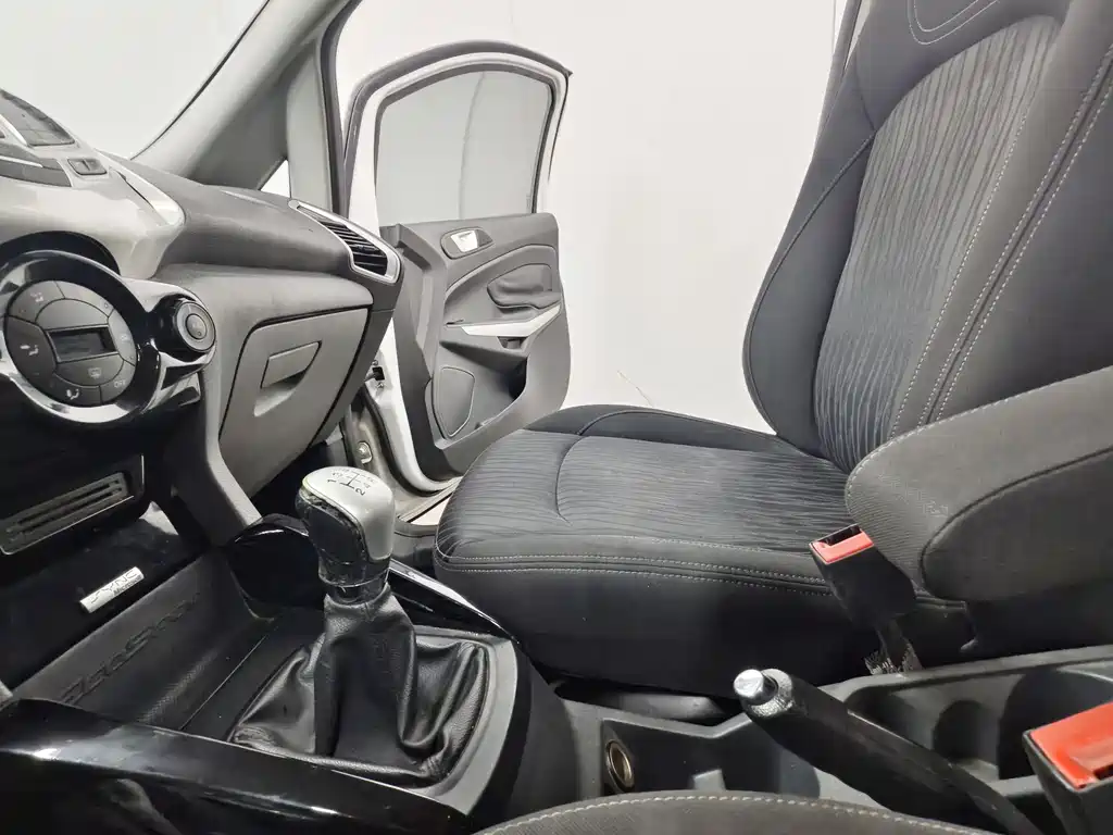 Ford Ecosport 2014 — фото 12