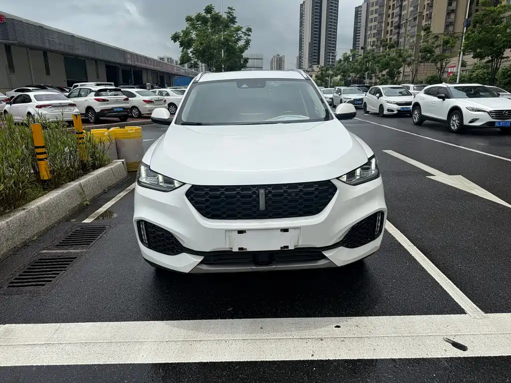 Wey VV6 2019