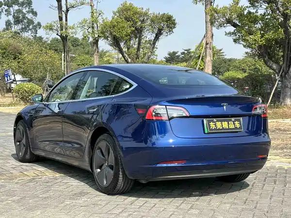 Tesla Model 3 2019
