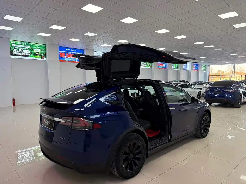 Tesla Model X 2019 — фото 5