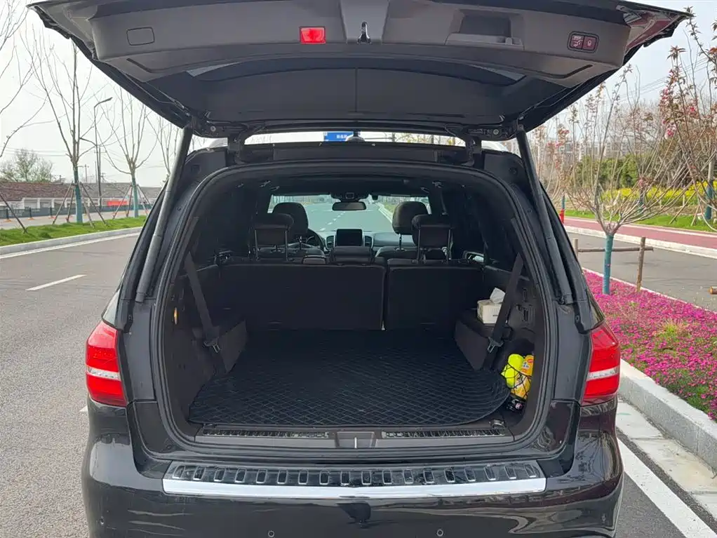 Mercedes-Benz GLS 2018 — фото 15