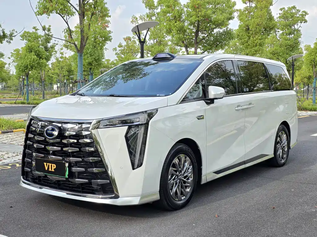 GAC Motor Xiangwang M8 2025