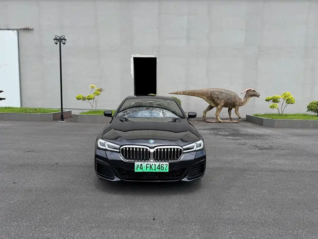 BMW 5 Series New Energy 2022