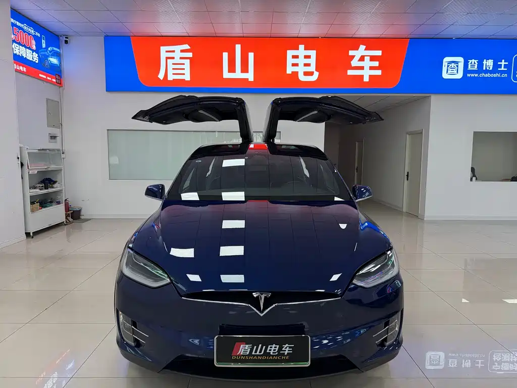 Tesla Model X 2019 — фото 2