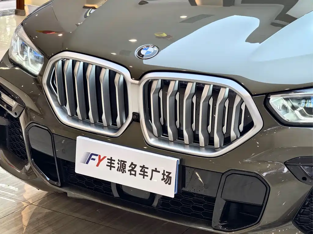 BMW X6 2020 — фото 24