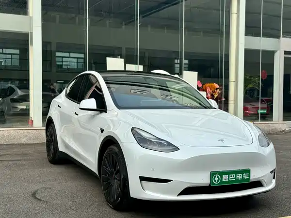 Tesla Model Y 2021