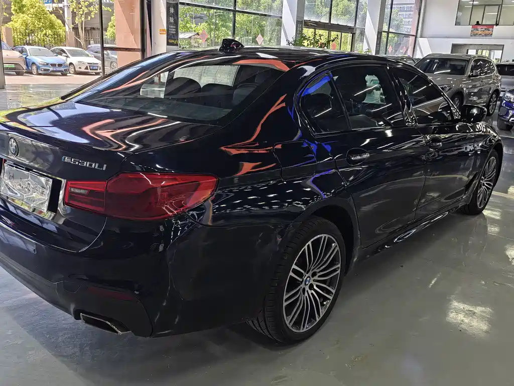 BMW 5 Series 2019 — фото 9