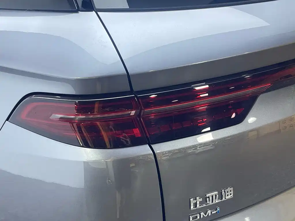 BYD Pro New Energy 2024 — фото 9