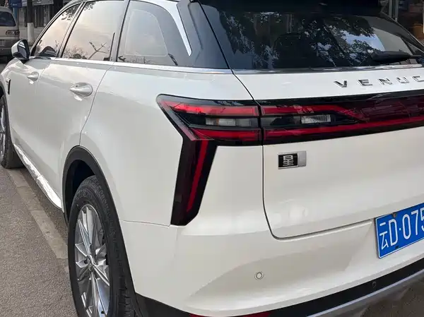 Venucia Star 2020