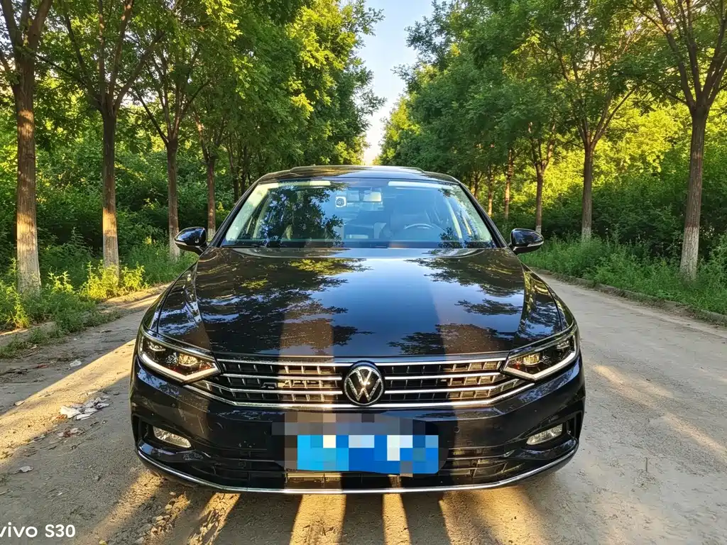 Volkswagen Magotan 2024