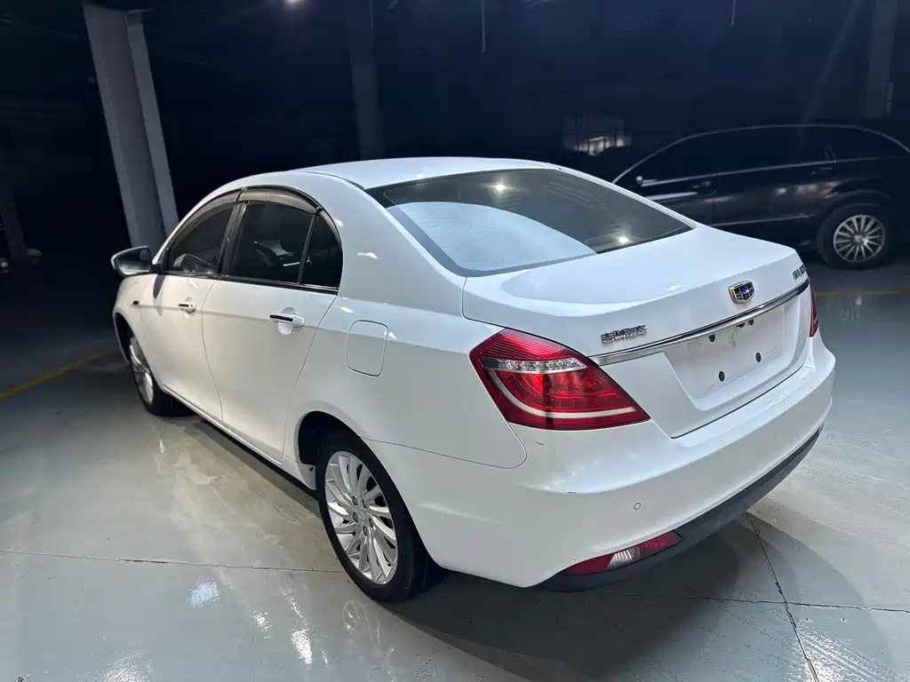Geely New Energy 2018 — фото 13