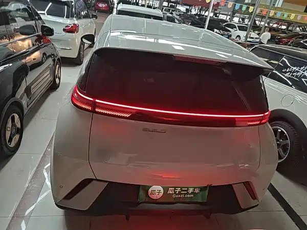BYD Seagull 2024
