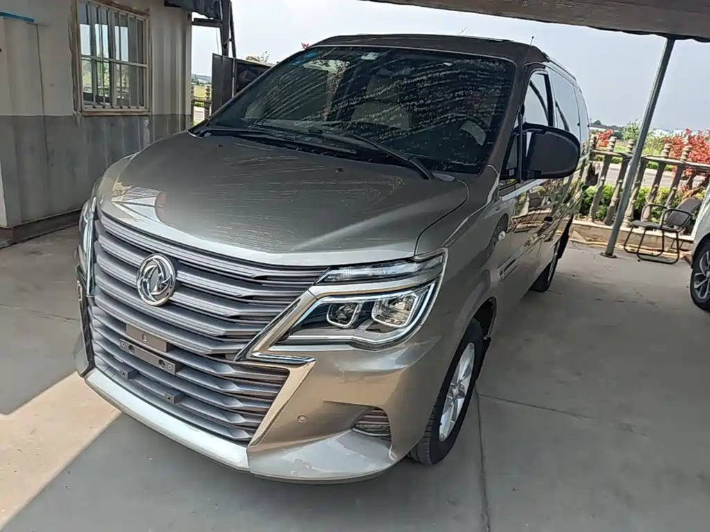 Dongfeng Lingzhi 2020