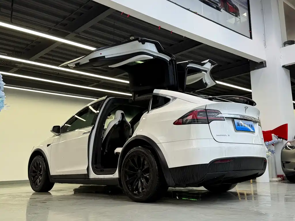 Tesla Model X 2016 — фото 3