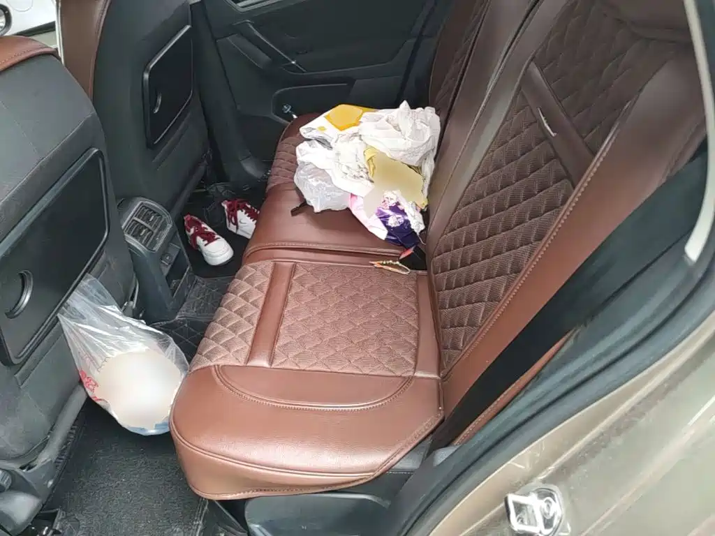 Volkswagen Golf Jialu 2016 — фото 17