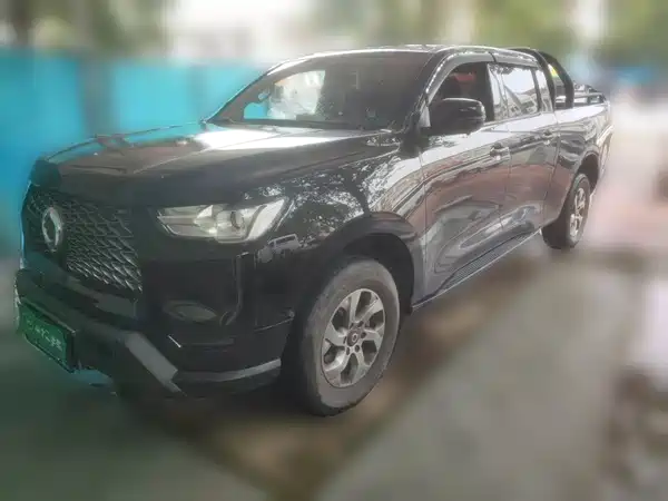 Great Wall Poer 2023