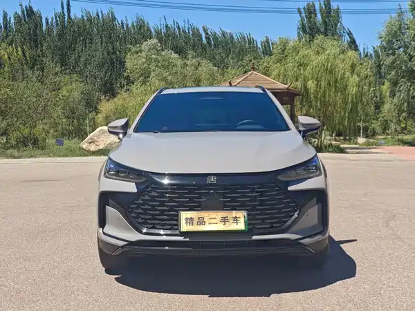 BYD Tang New Energy 2026