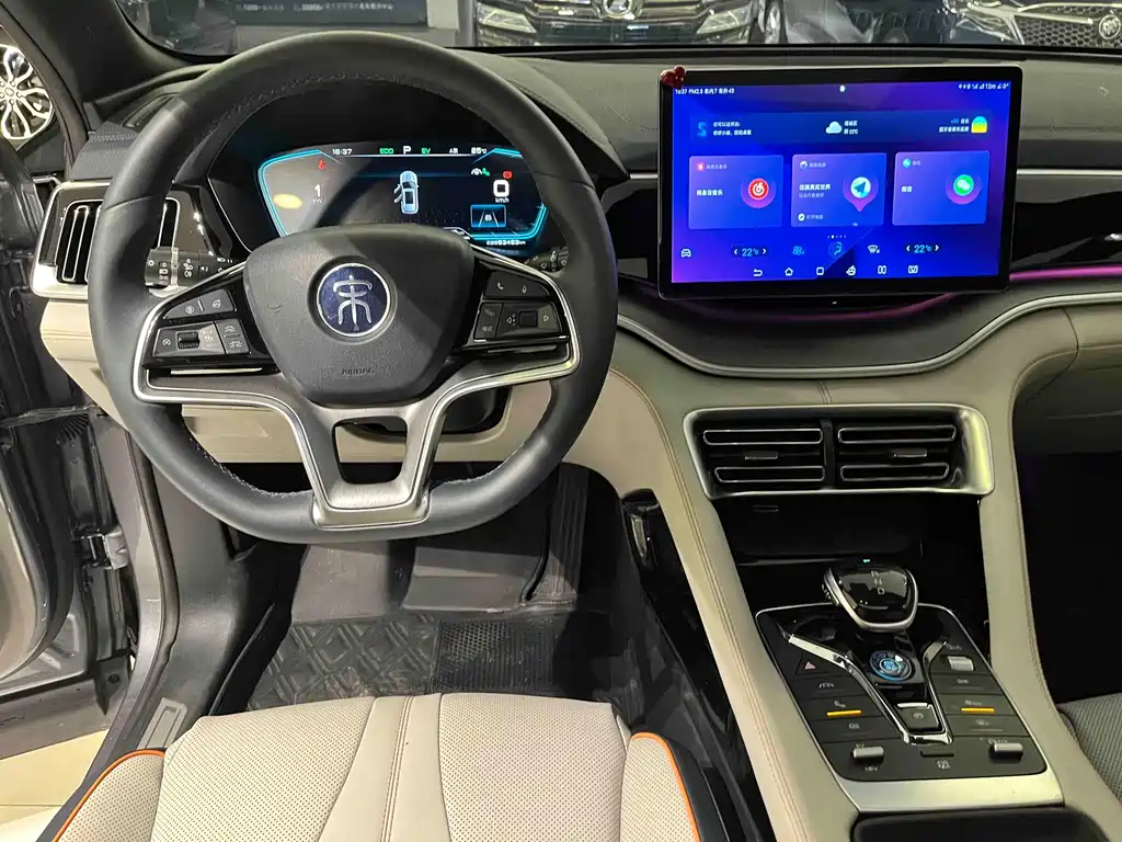 BYD PLUS New Energy 2022 — фото 10