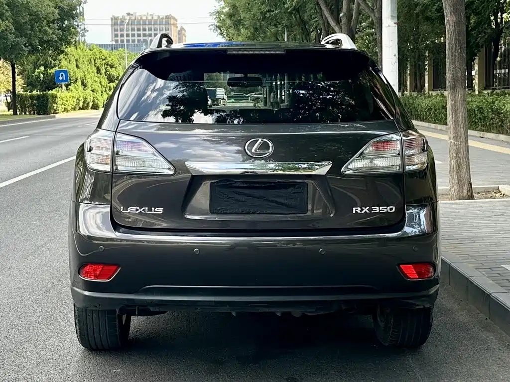 Lexus RX Classic 2010 — фото 14