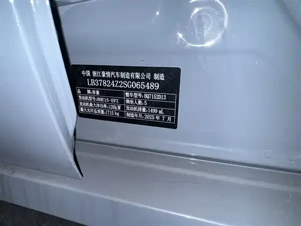 Geely Binrui 2024