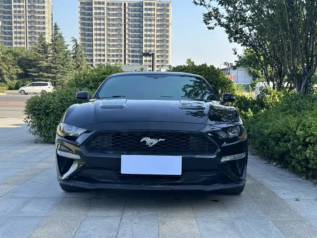 Ford Mustang 2019 — фото 2