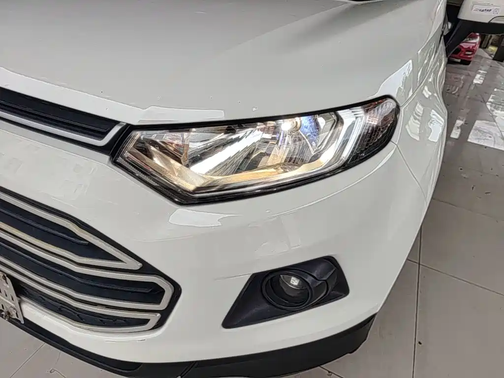 Ford Ecosport 2014 — фото 24