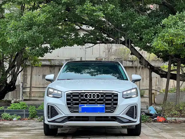 Audi Q2L 2022