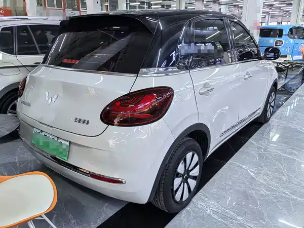 Wuling Bingo 2024