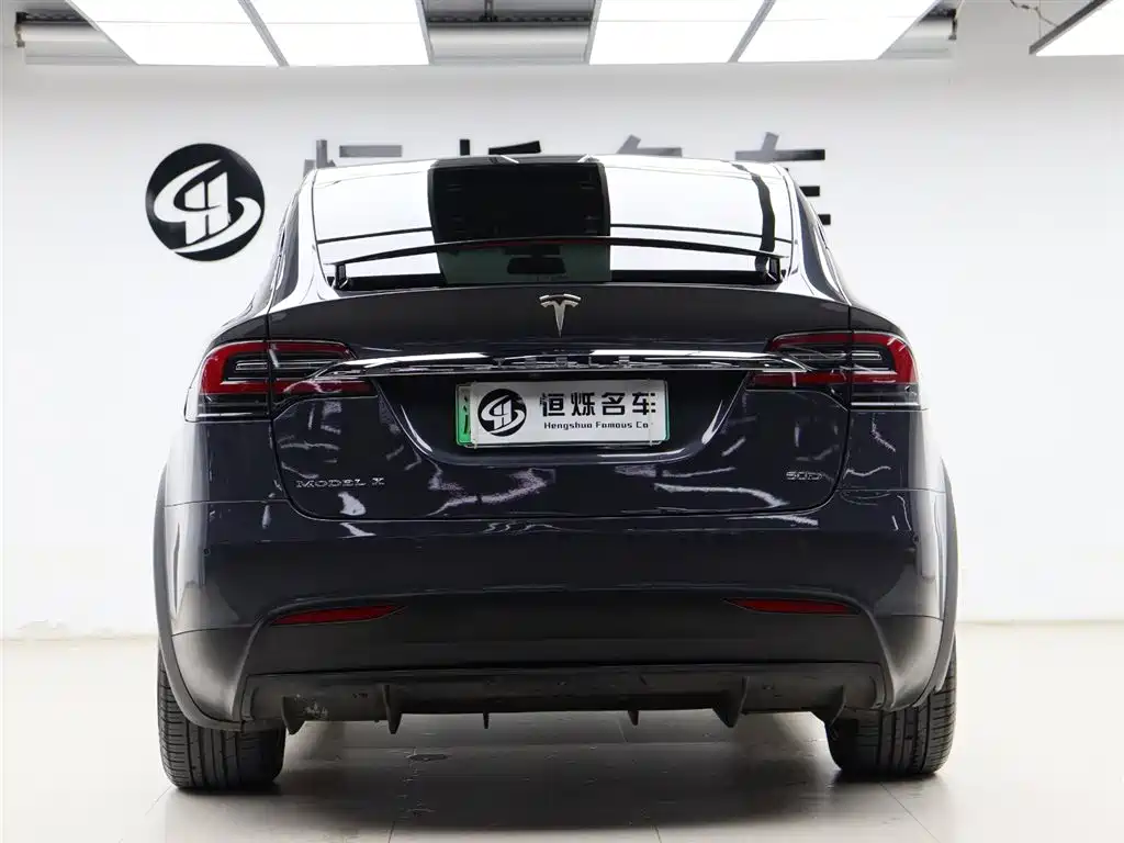 Tesla Model X 2017 — фото 19