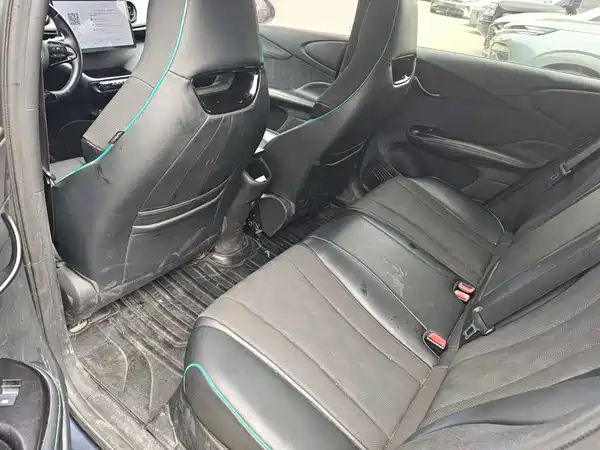 BYD Dolphin 2024