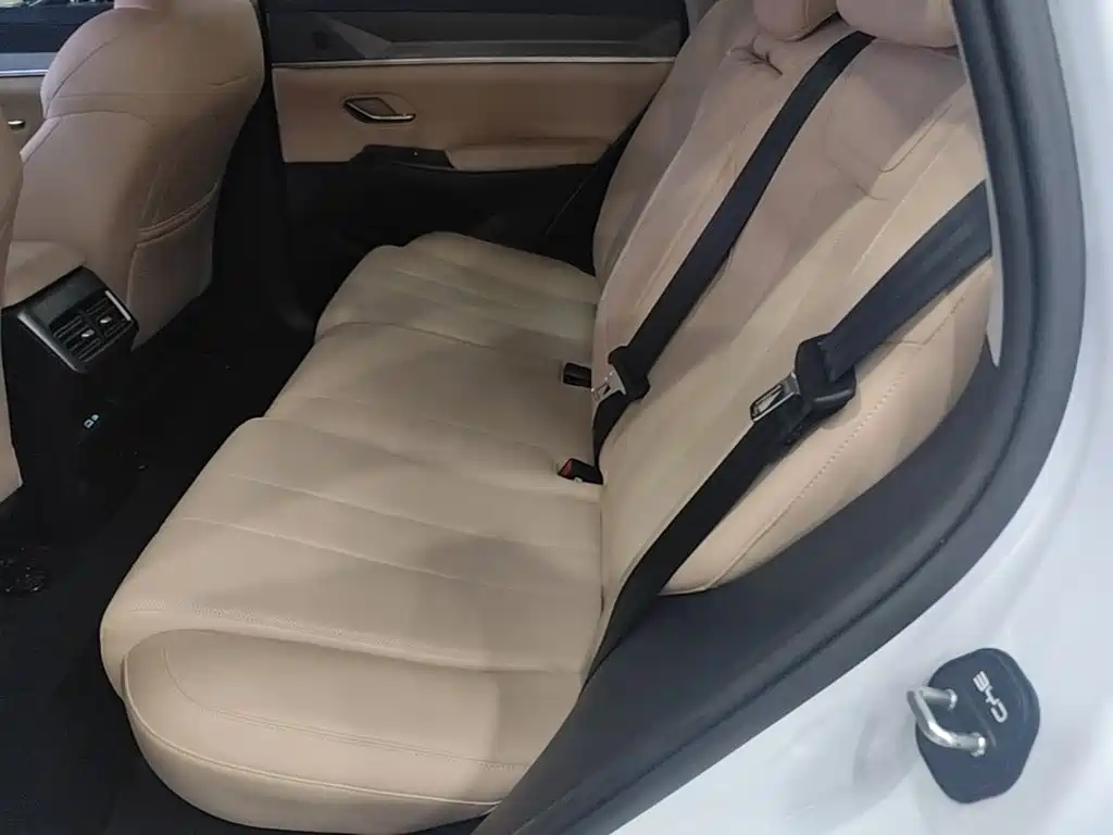 BYD Song Pro New Energy 2025 — фото 17