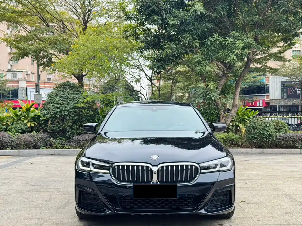 BMW 5 Series 2020 — фото 2